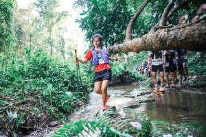 BIB: 
                            <button type="button" onclick="openModal(25460352)" class="btn btn-primary btn-sm float-right btn-popup" data-toggle="modal" data-target=".modal-high-quality">
                        <i class="fas fa-shopping-cart"></i> Add to Cart
                    </button>
                                            <button type="button" onclick="isThisMe(25460352, true)" class="btn btn-success btn-sm float-right btn-popup btn-isme hidden" data-toggle="tooltip" data-placement="bottom" title="นี่คือรูปของคุณใช่ไหม คลิกที่นี่เพื่อเอาเข้าอัลบั้ม">
                        <i class="fas fa-plus"></i> Add to album
                    </button>
                    <button type="button" onclick="isThisMe(25460352, false)" class="btn btn-warning btn-sm float-right btn-popup btn-isnotme hidden">
                        <i class="fas fa-ban"></i> Remove from album
                    </button>